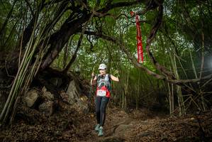 BIB: 
                            <button type="button" onclick="openModal(22178923)" class="btn btn-primary btn-sm float-right btn-popup" data-toggle="modal" data-target=".modal-high-quality">
                        <i class="fas fa-shopping-cart"></i> Add to Cart
                    </button>
                                            <button type="button" onclick="isThisMe(22178923, true)" class="btn btn-success btn-sm float-right btn-popup btn-isme hidden" data-toggle="tooltip" data-placement="bottom" title="นี่คือรูปของคุณใช่ไหม คลิกที่นี่เพื่อเอาเข้าอัลบั้ม">
                        <i class="fas fa-plus"></i> Add to album
                    </button>
                    <button type="button" onclick="isThisMe(22178923, false)" class="btn btn-warning btn-sm float-right btn-popup btn-isnotme hidden">
                        <i class="fas fa-ban"></i> Remove from album
                    </button>